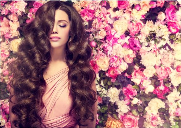 Wer im Winter unter trockenem und sprödem Haar leidet, sollte auf ein geeignetes Shampoo und den dazu passenden Conditioner umsteigen! Wir stellen in unserem Testbericht unsere Bio-Shampoo-Favoriten vor.