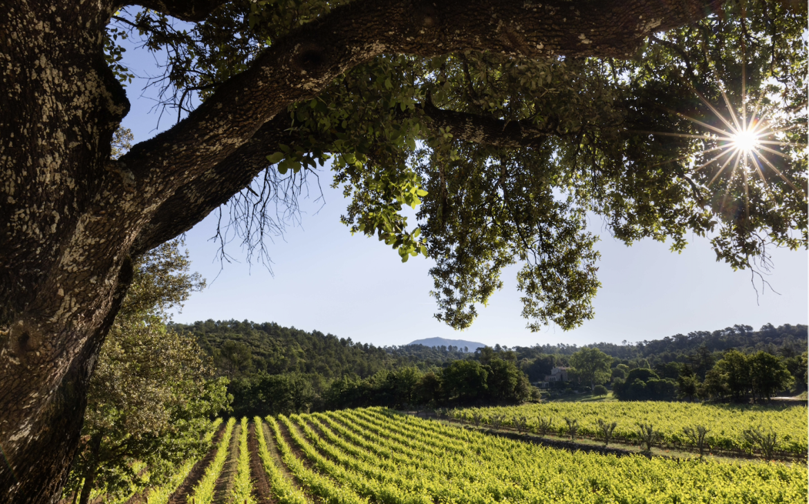 Château Margüi in der Provence 