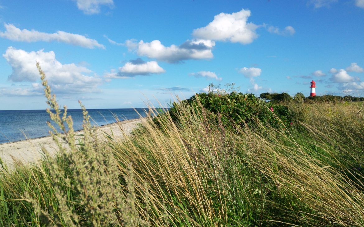 Strand bei Falshöft in der Nähe von Janbeck's FAIRhaus